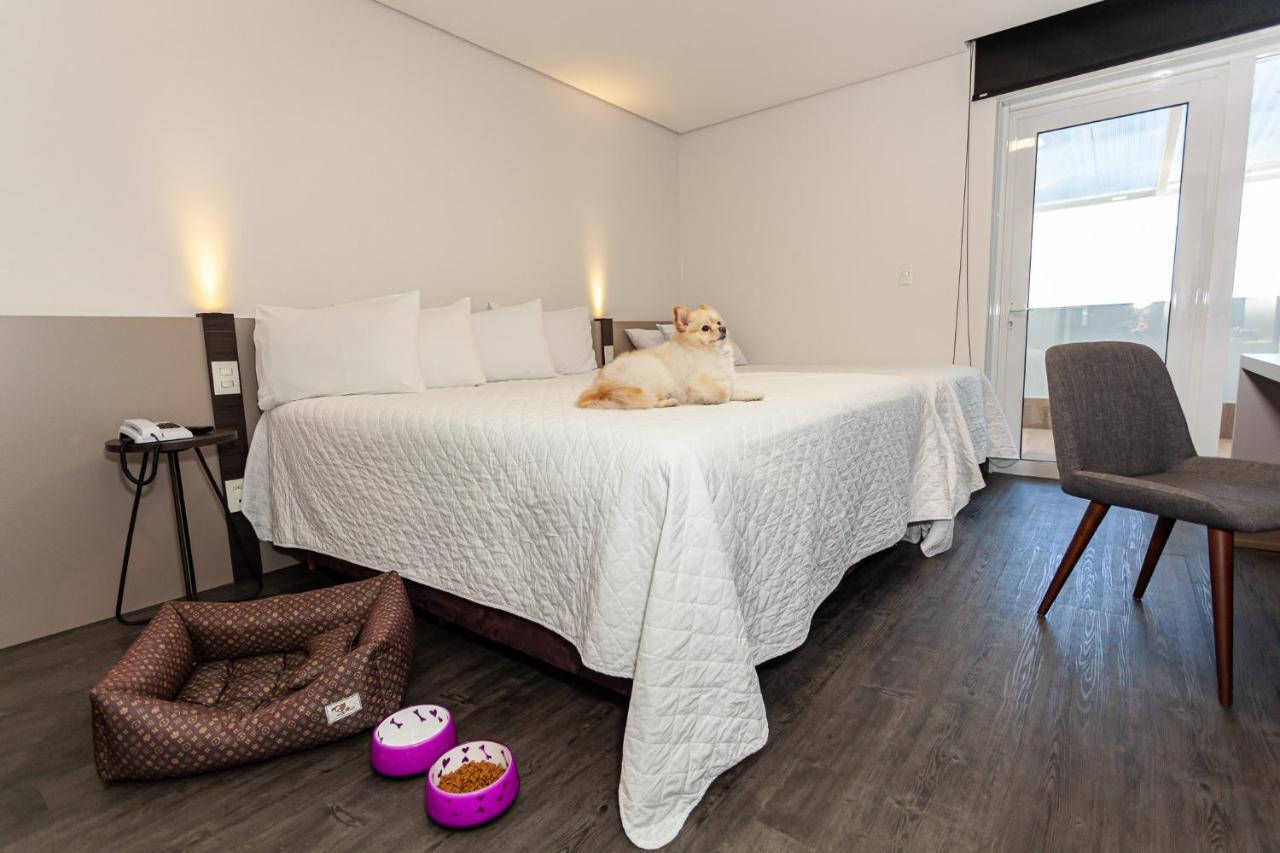 Travel Inn Hotels Caxias Do Sul Bagian luar foto