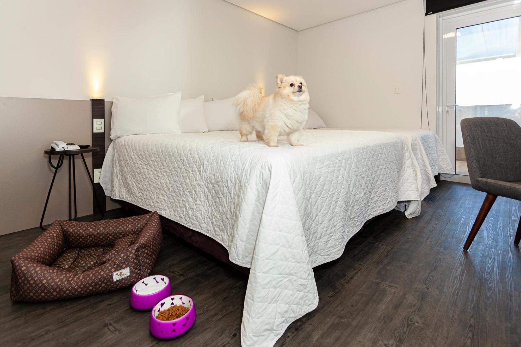 Travel Inn Hotels Caxias Do Sul Bagian luar foto